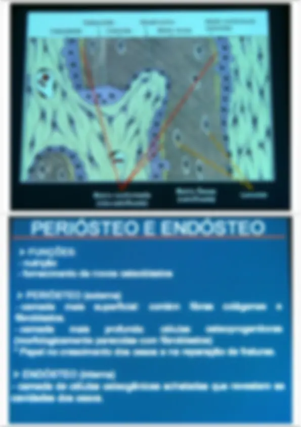 pf12