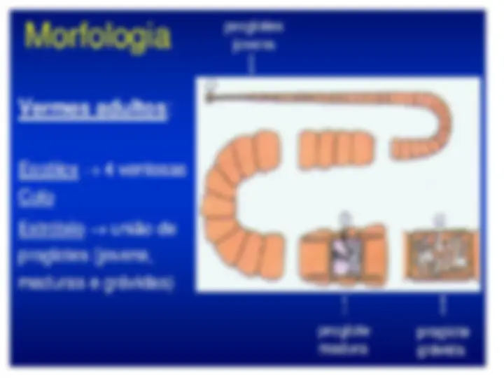 pf3