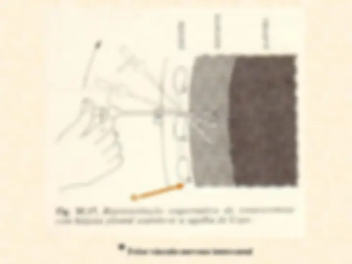 pf18