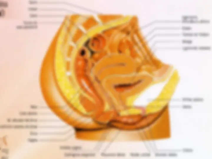 pf4