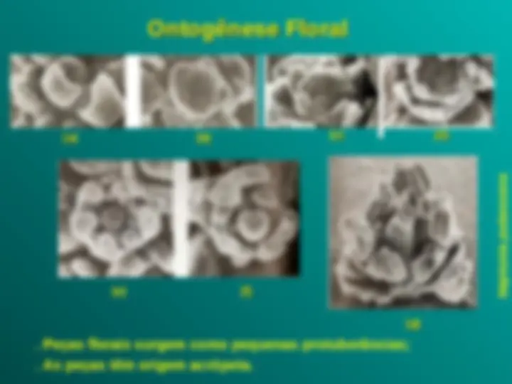 pf3