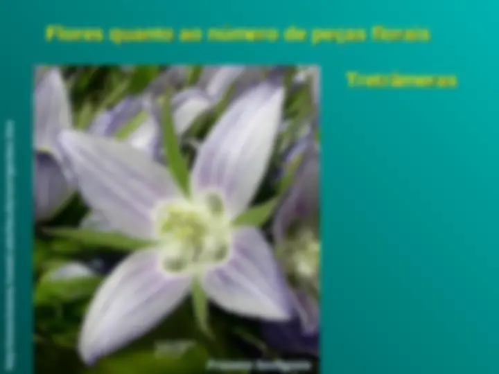 pf13
