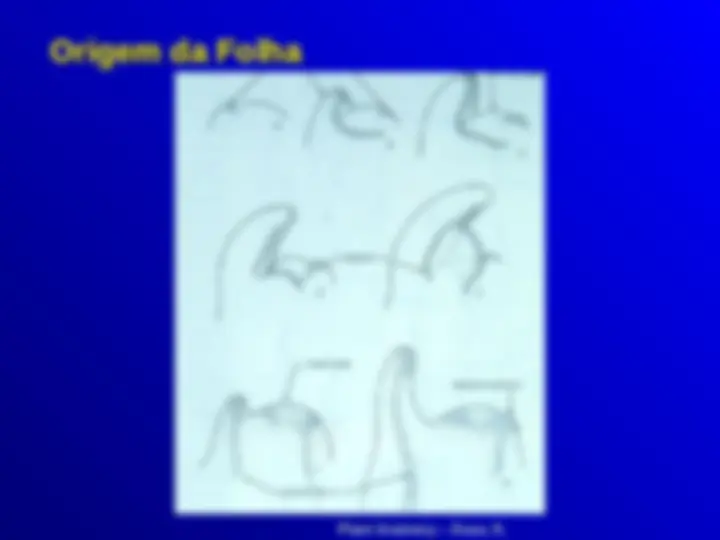 pf5