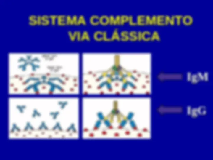 pf5