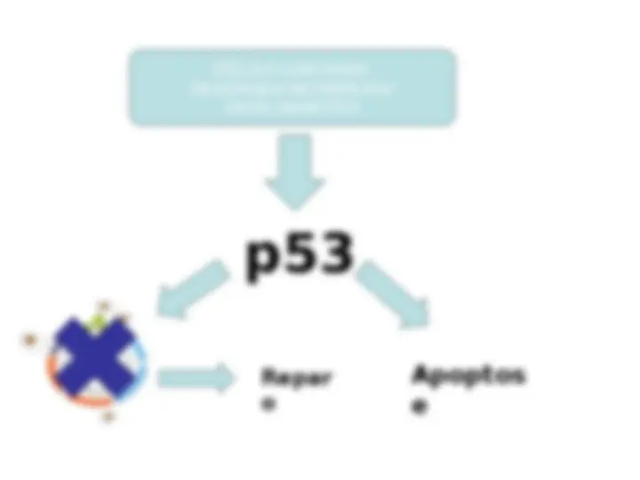pf5