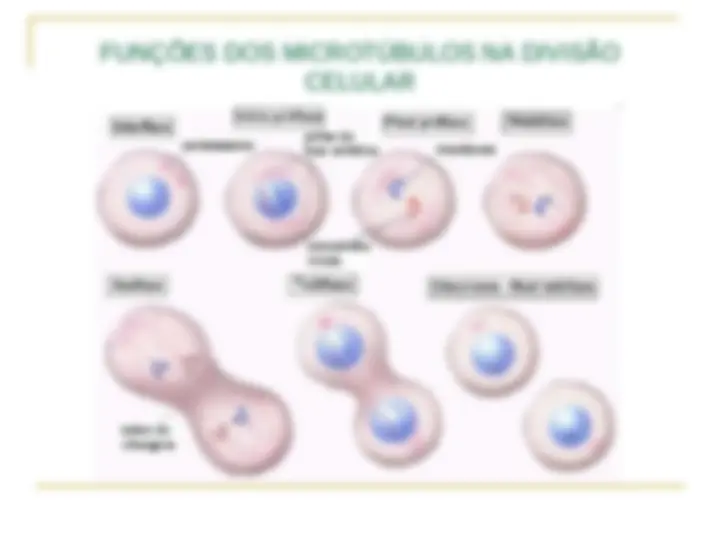 pf14