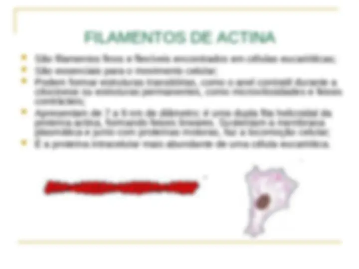 pf1b