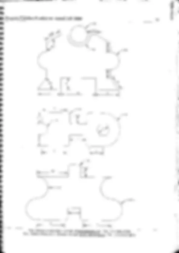 pf4c