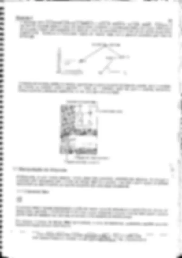 pf1f