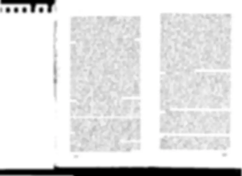 pf61