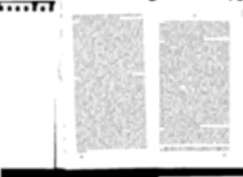 pf26