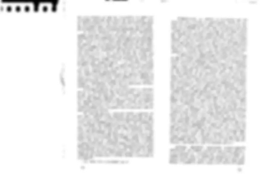 pf24