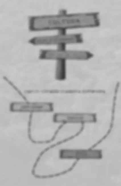 pf62