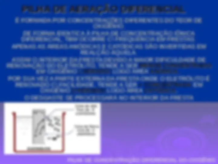 pf19