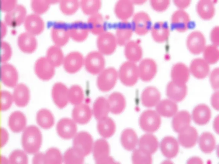 pf19