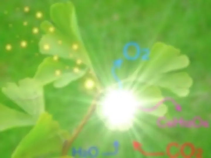 pf3