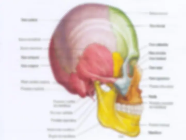 pfa