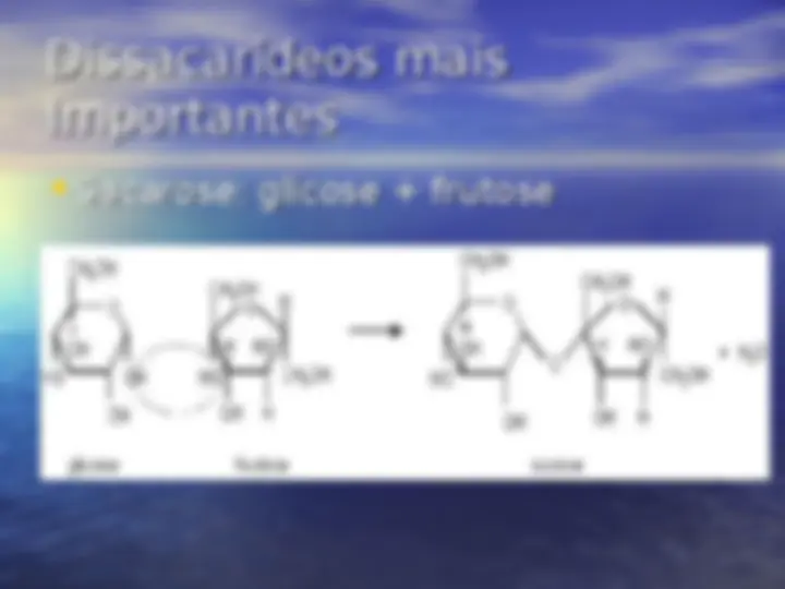 pf14