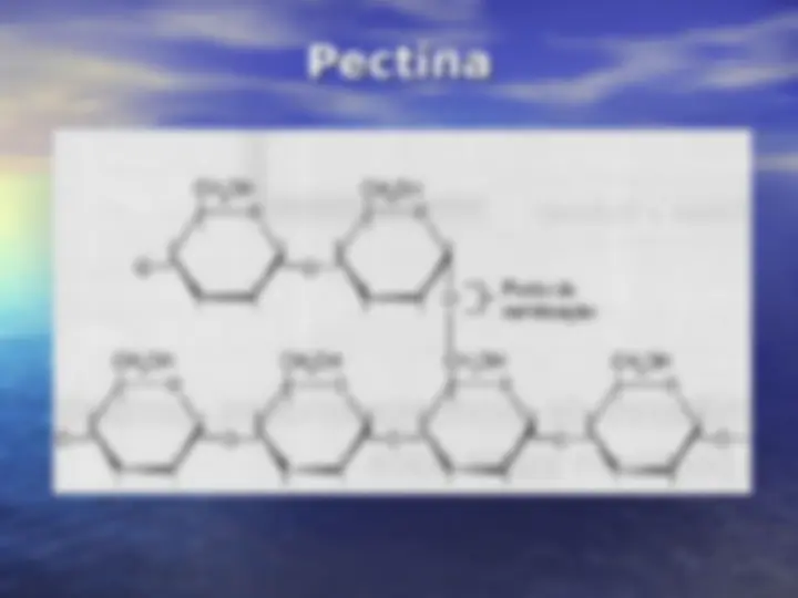 pf23