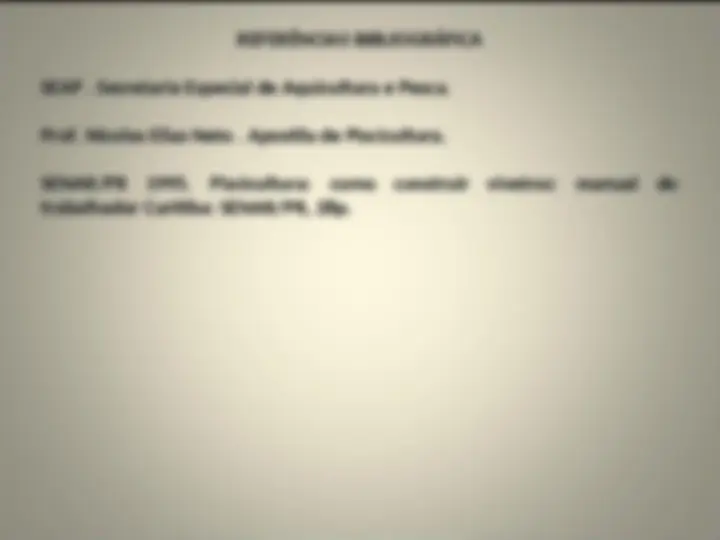 pf31
