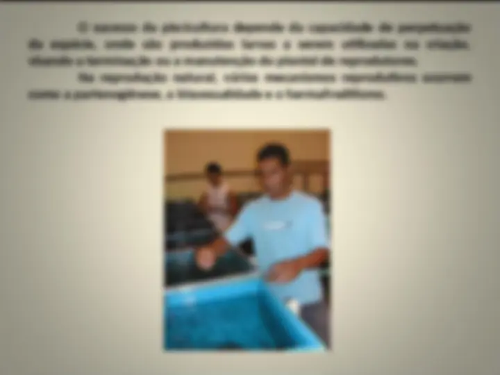 pff