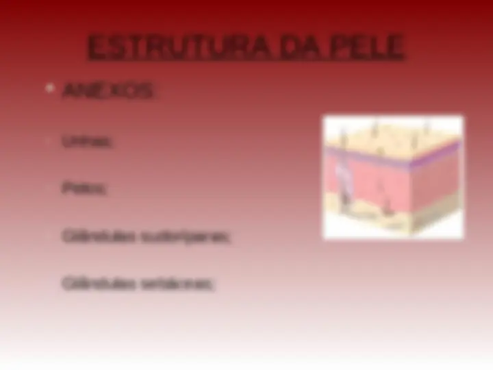 pff
