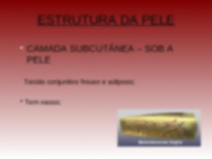 pfe