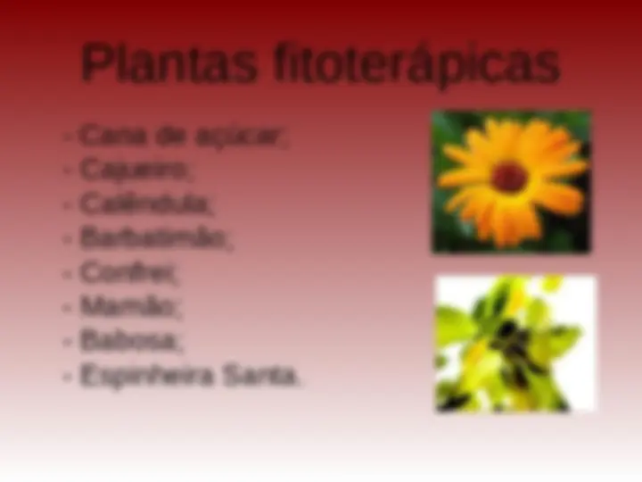 pf24