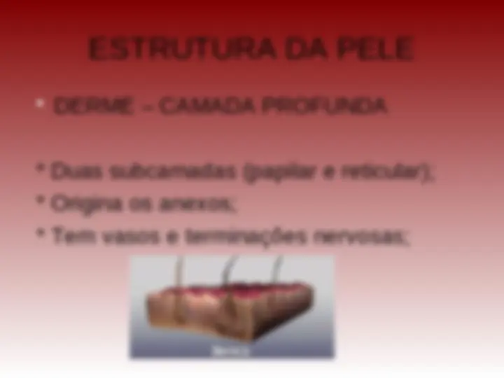 pfd
