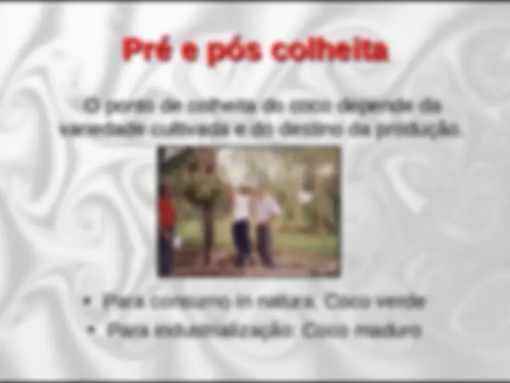 pfe