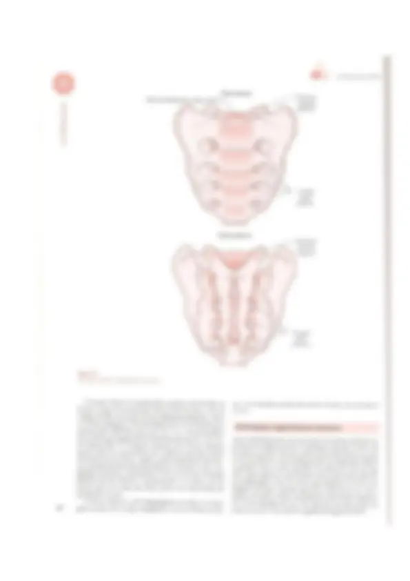 pf5