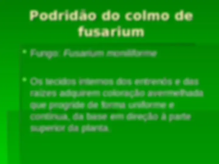 pf24