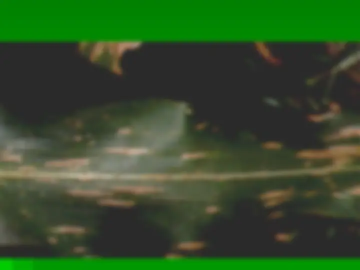 pf15