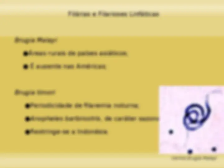 pf19