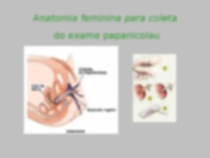 pfe