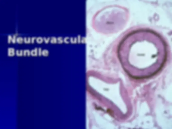 pf34
