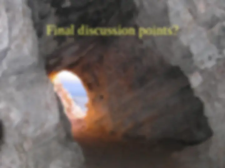 pf4e
