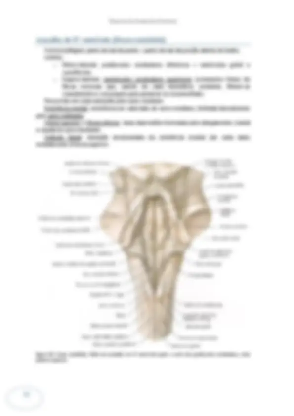 pf34