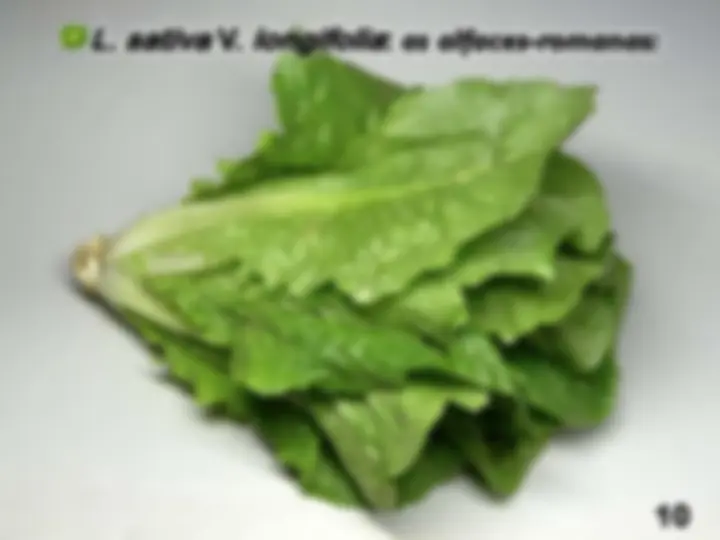 pfa