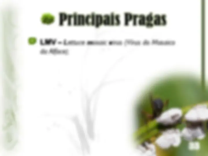 pf21