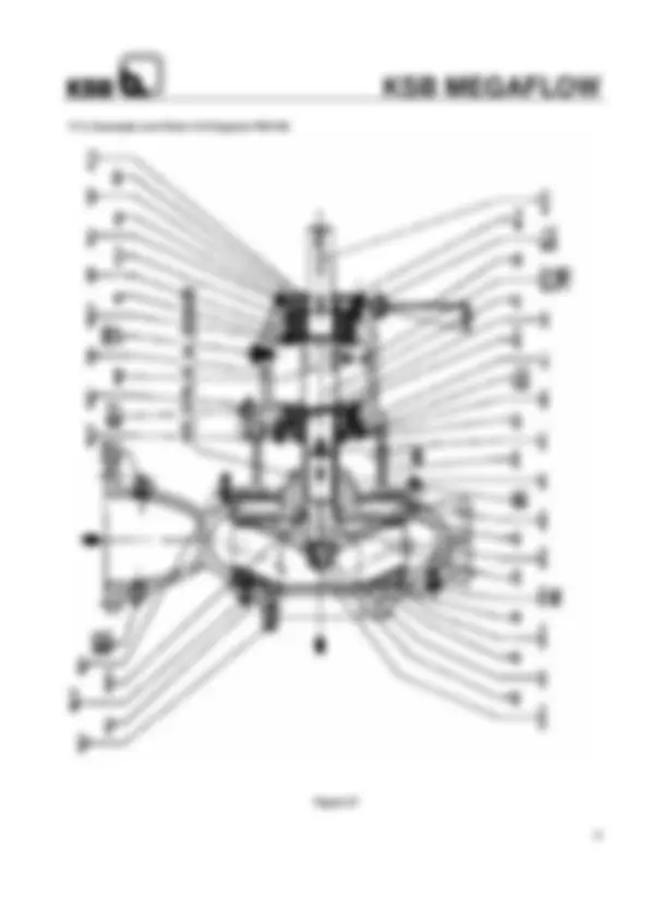 pf20