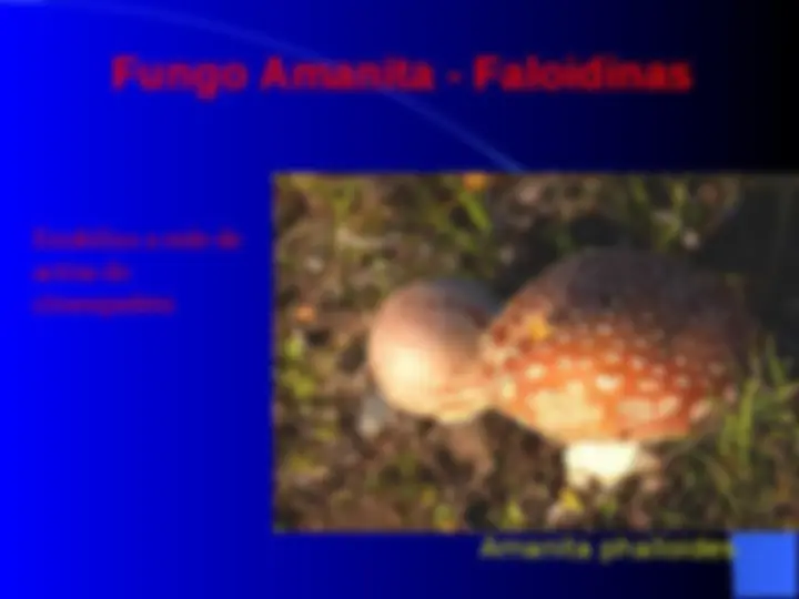 pf21