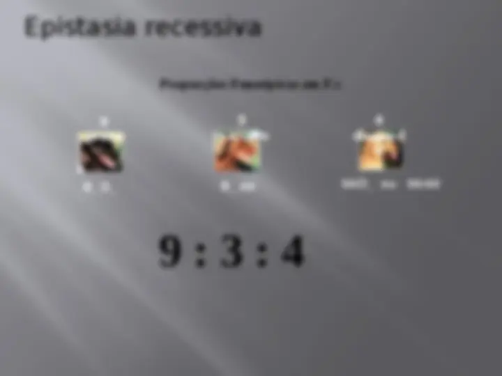 pf12