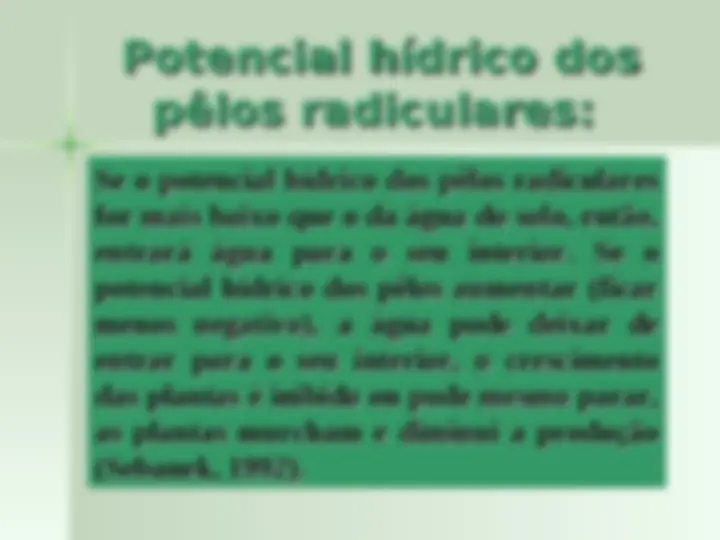 pf1b