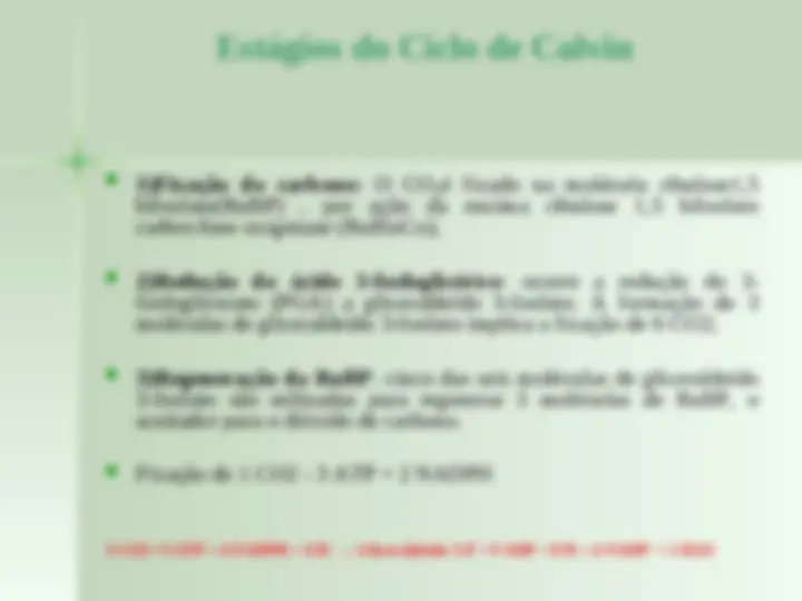 pf1b