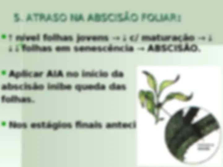pf1b