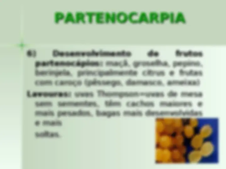 pf34