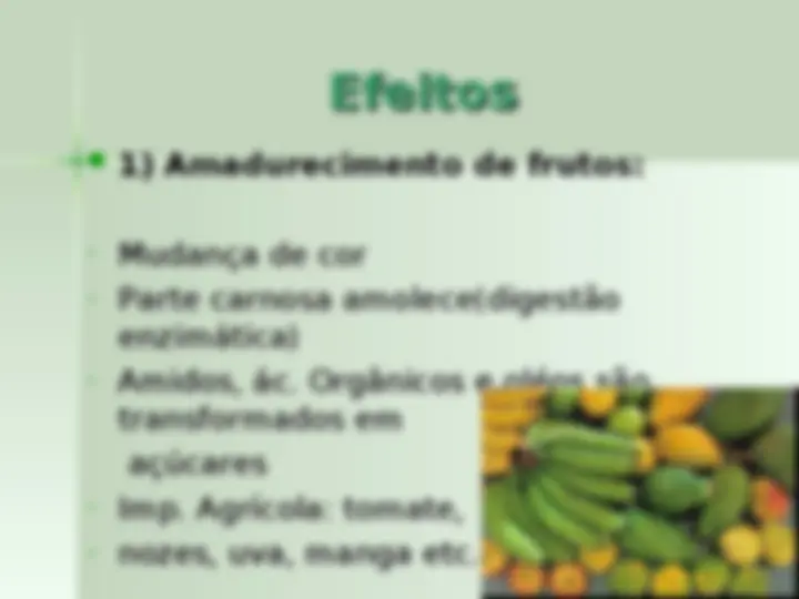 pf24