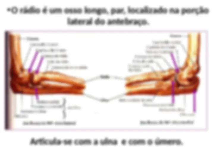 pfa