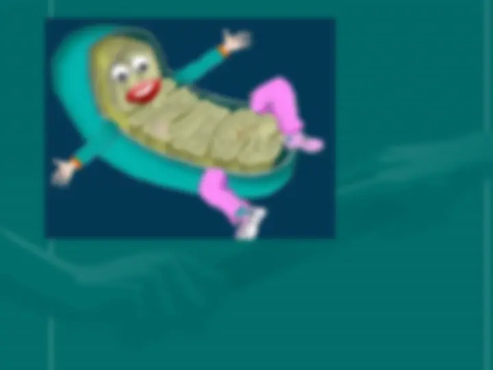 pfe
